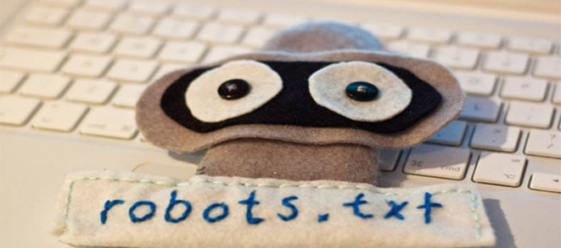 Robots.txt Örnek Kod Kullanımları Robots.txt Örnek Kod Kullanımları