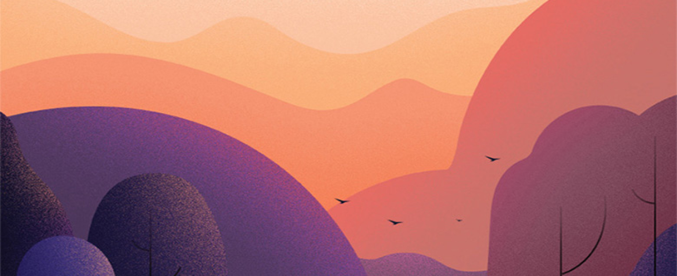 Joomla Tasarımcılar ve Geliştiriciler İçin Ne Sunuyor?