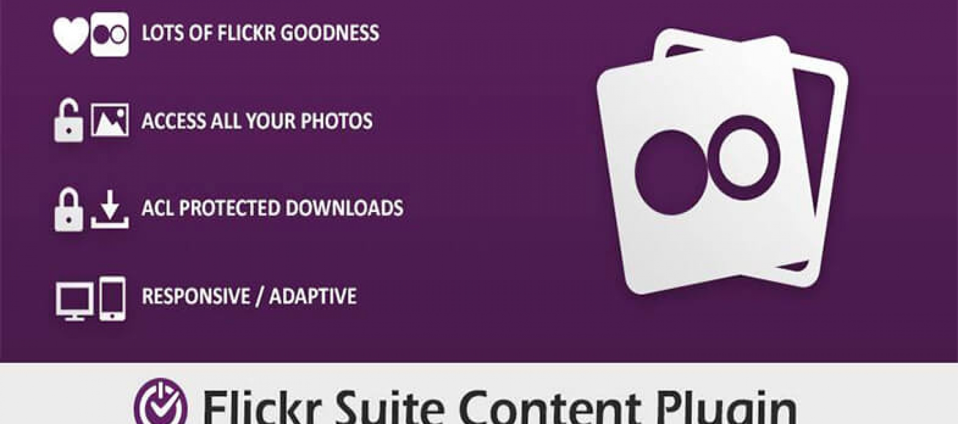 Flickr Suite Content Plugini
